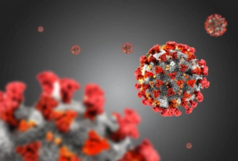 Coronavirus: 29.613 pazienti guariti, 4216 decessi, 48.118 contagi